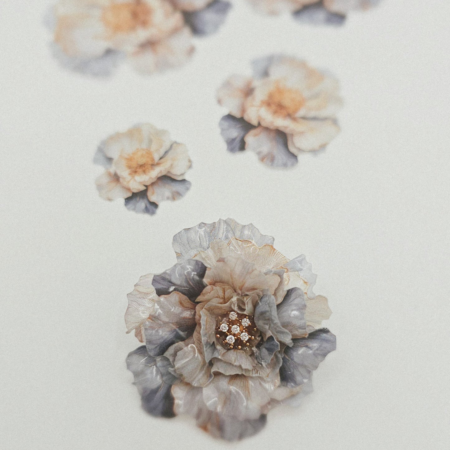 Pfingstrose XL - 10 Stk.