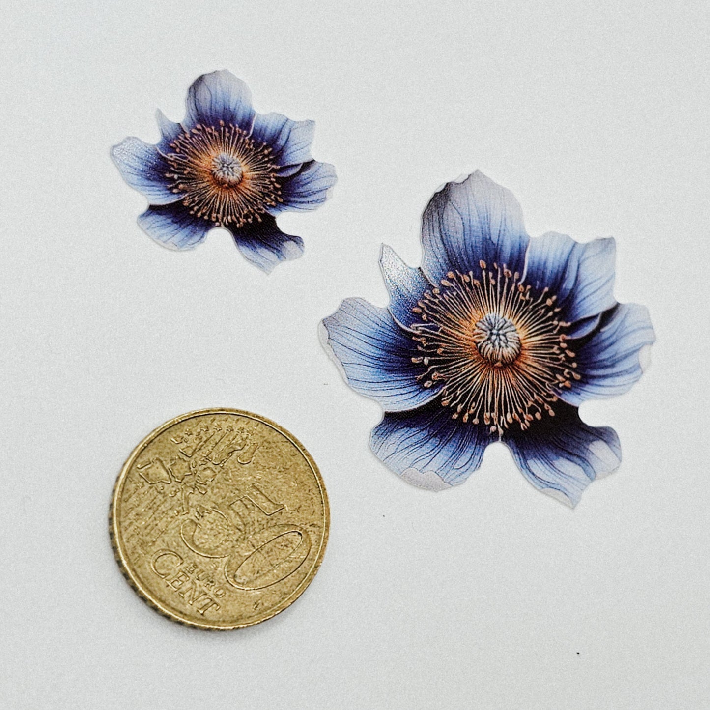 Mohnblume (blau) - 10 Stk.