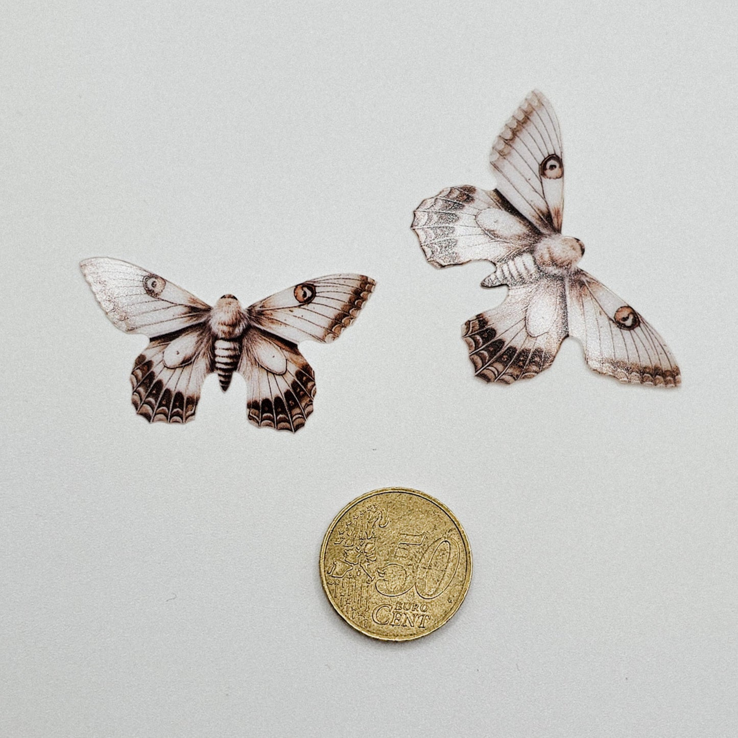 Motte beige braun - 10 Stk.