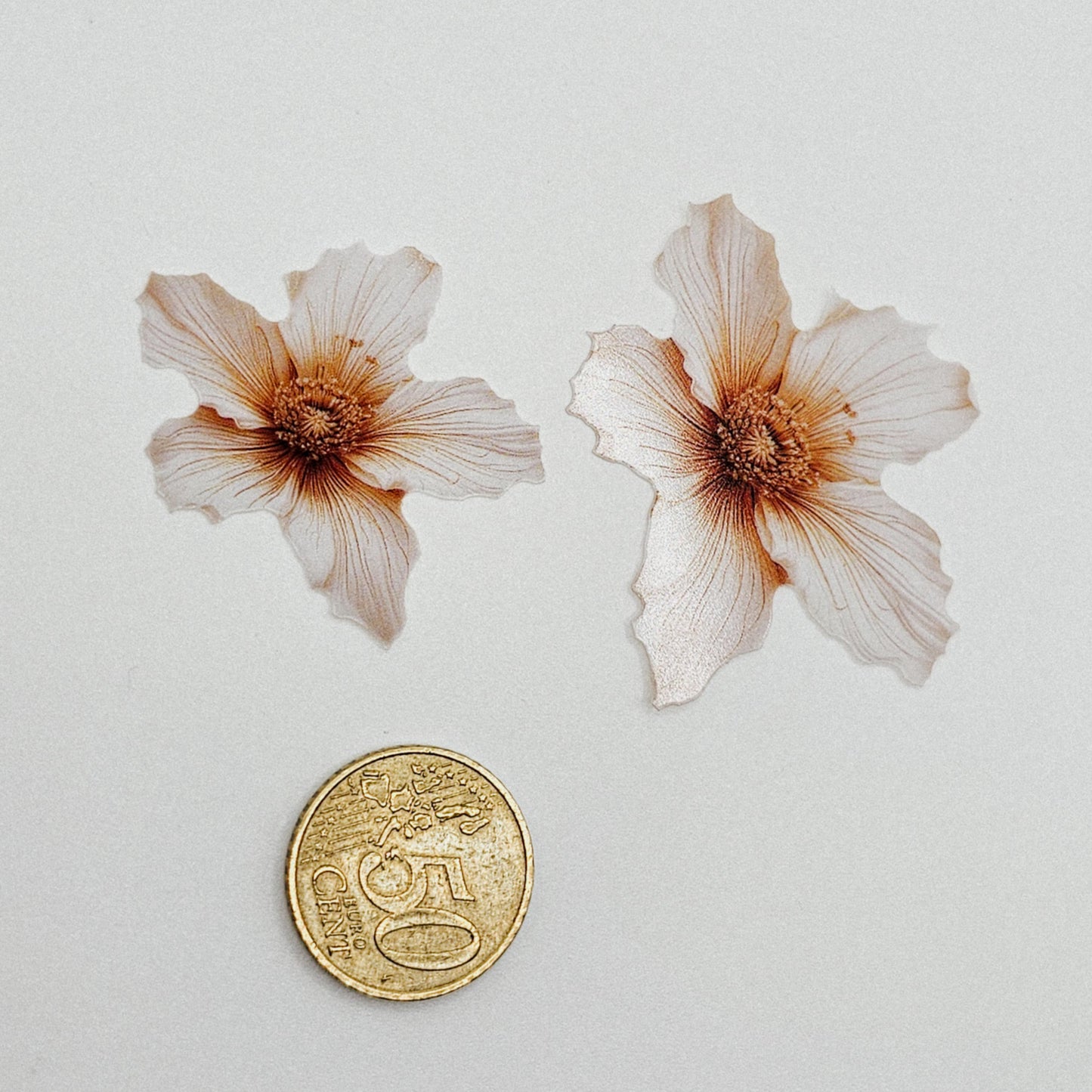 Winterglanz - 10 Stk.