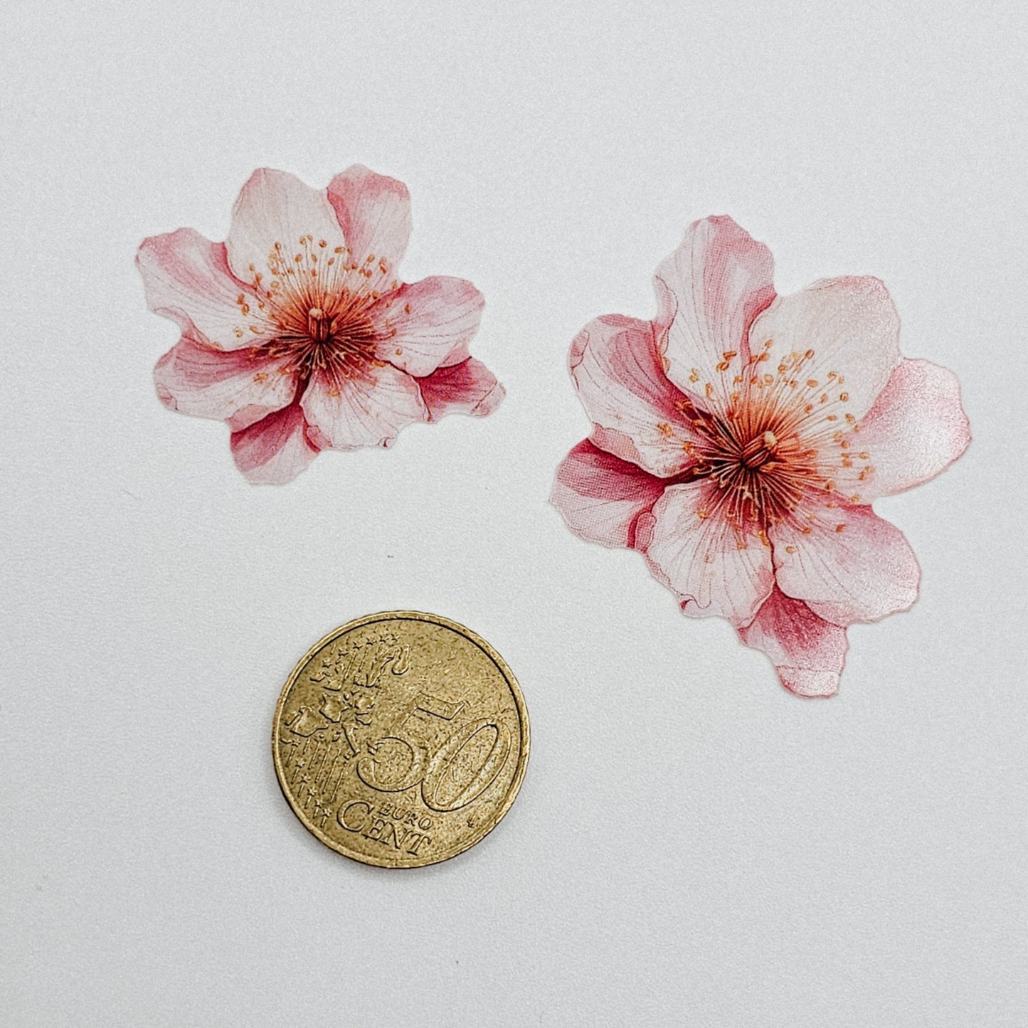 Kirschblüte - 10 Stk.