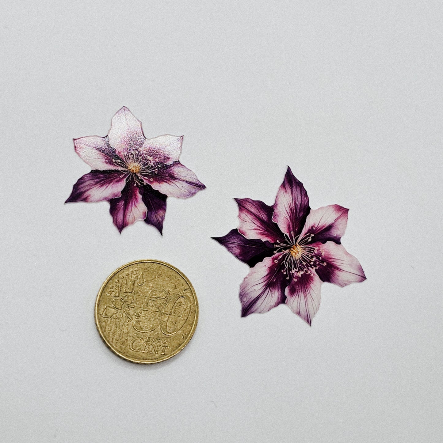 Violet Dream - 10 Stk.