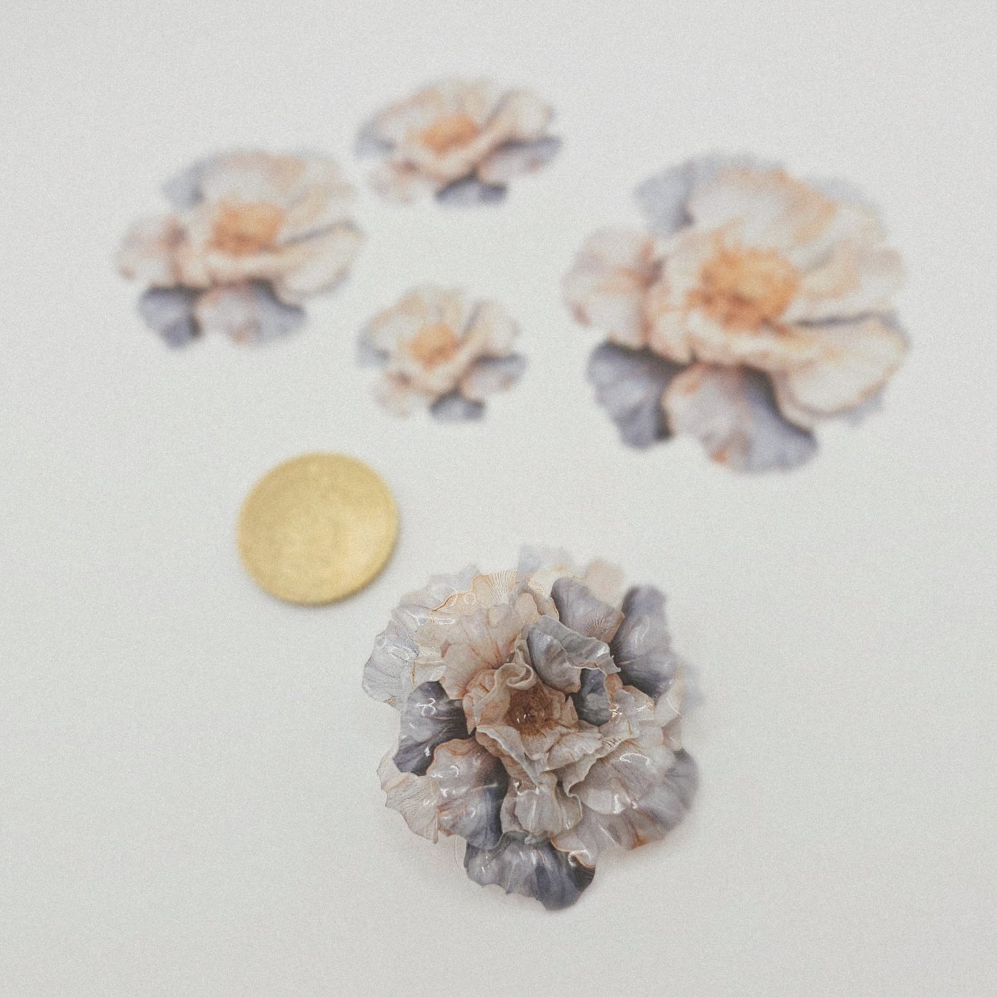 Pfingstrose XL - 10 Stk.