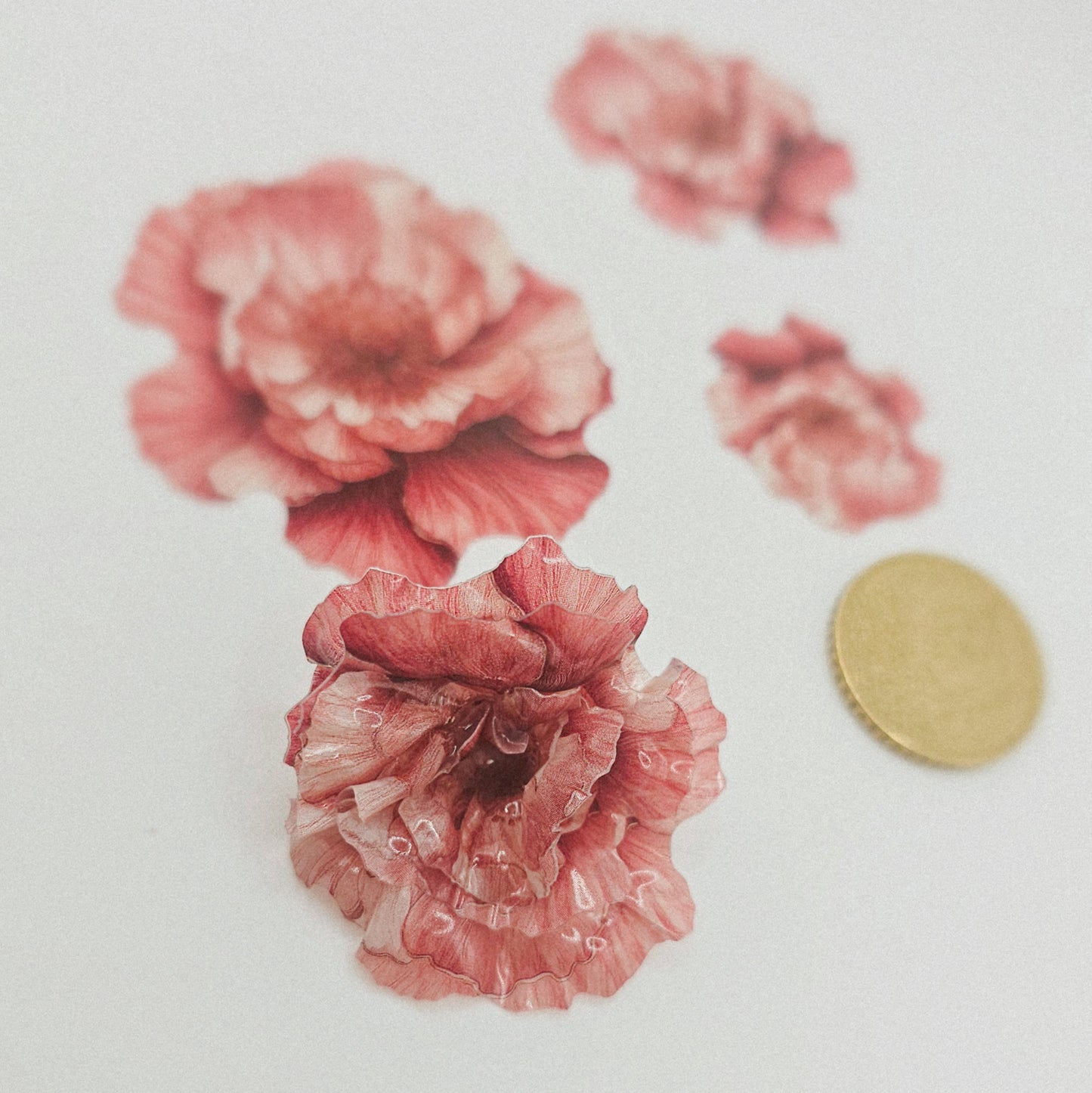 Pfingstrose Pastell - 10 Stk.