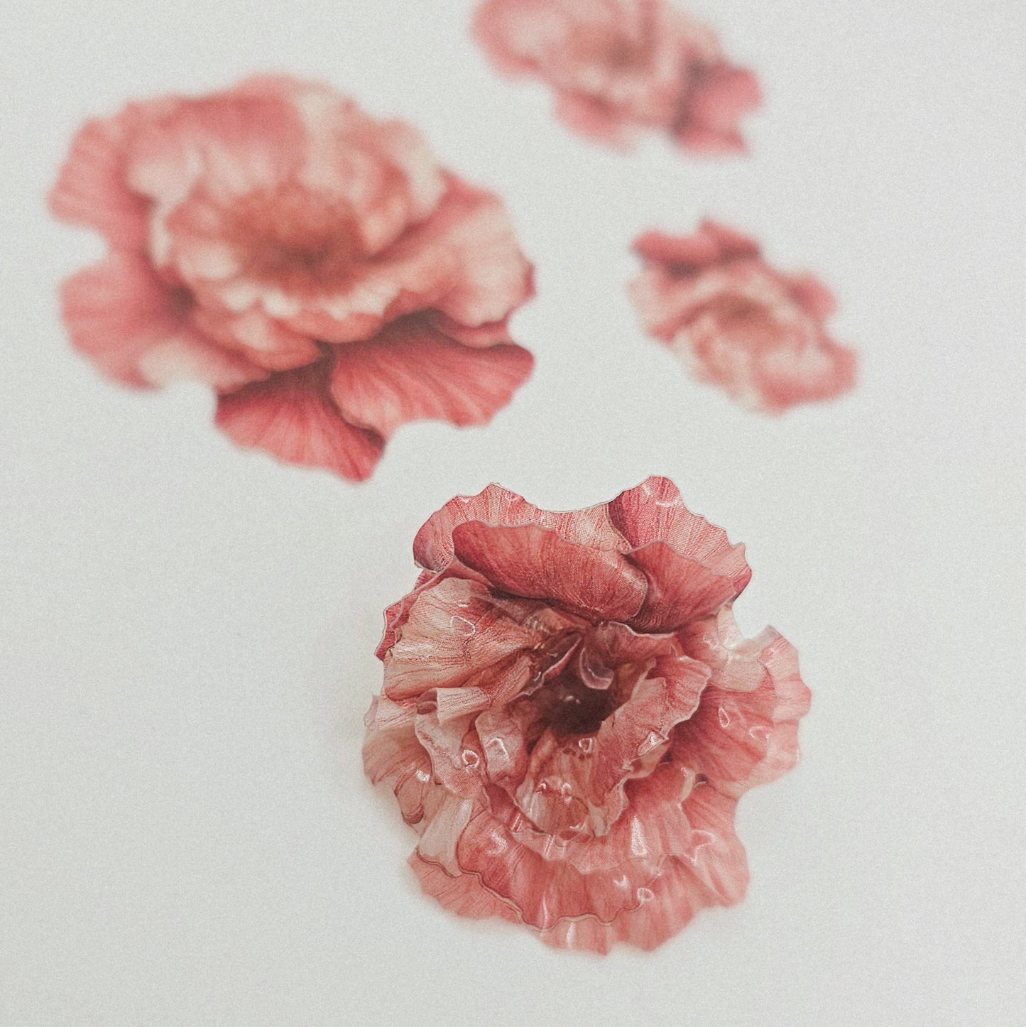 Pfingstrose Pastell - 10 Stk.