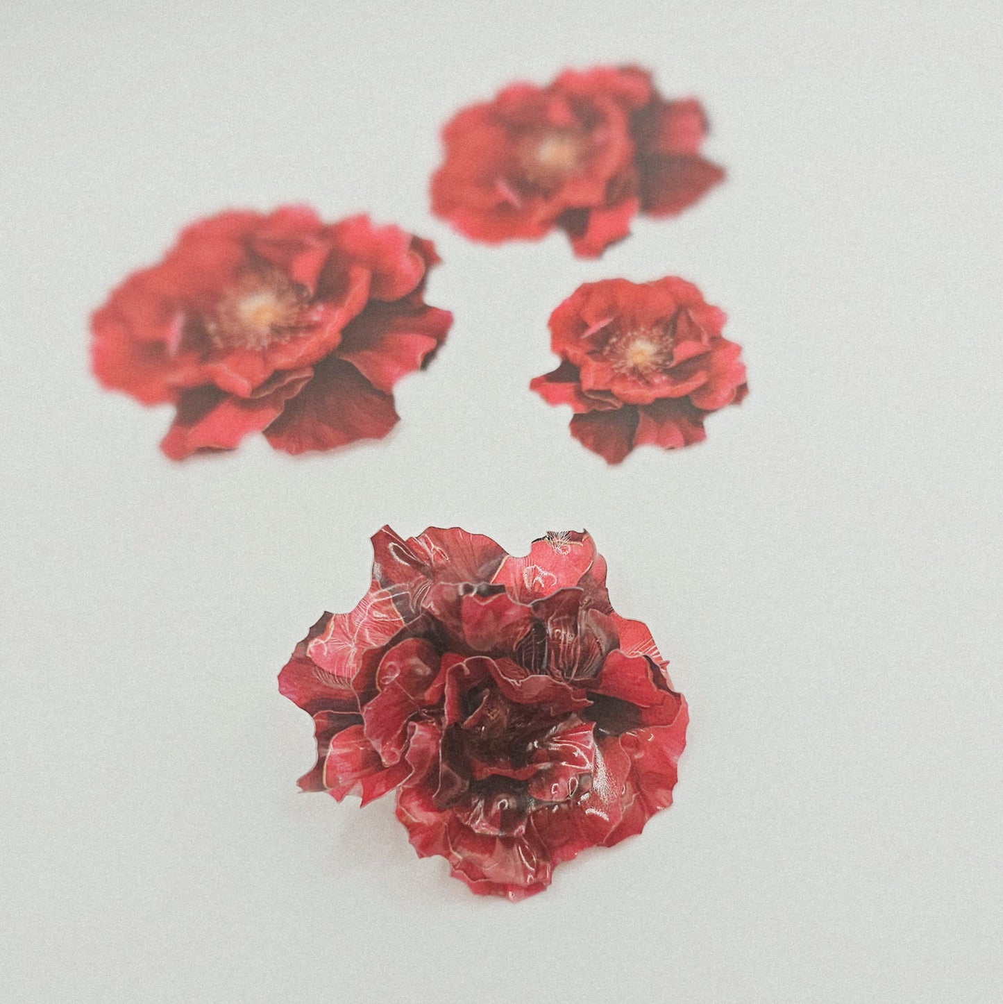 Rose (rot) groß 3 lagig - 10 Stk.