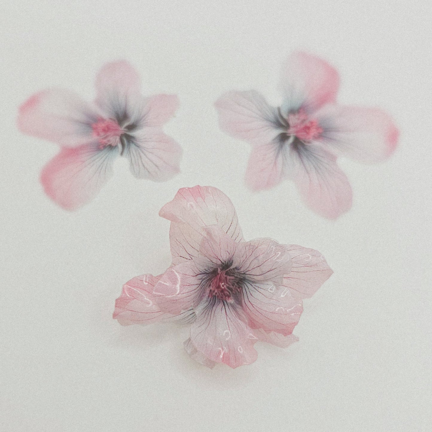 Fay Flower- 10 Stk.