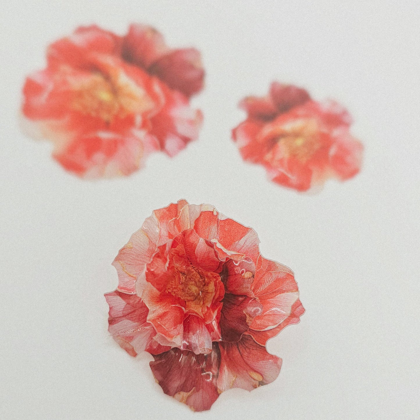 Light Rose Flower - 10 Stk.