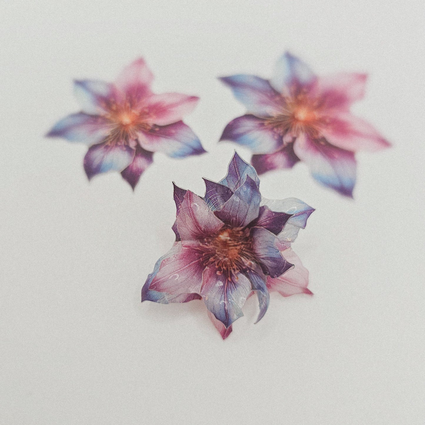 Sternenglanz - 10 Stk.