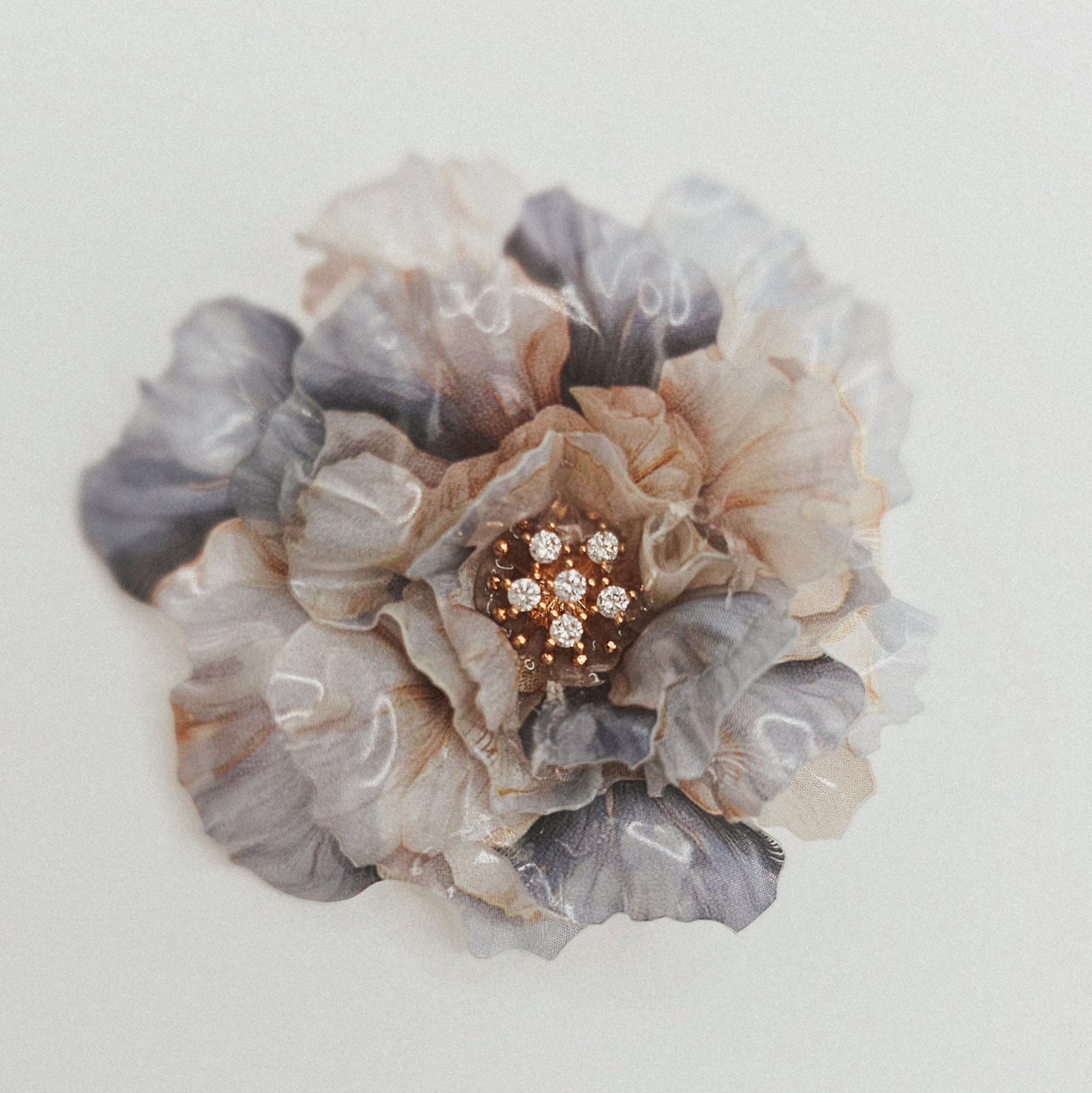 Pfingstrose XL - 10 Stk.