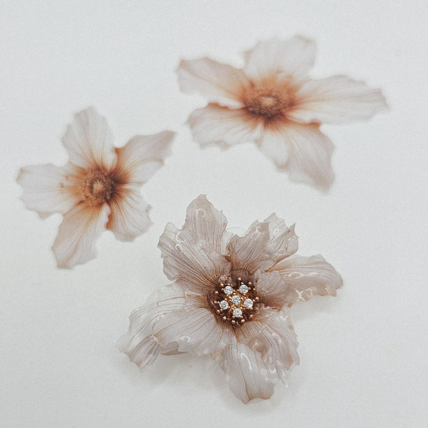 Winterglanz - 10 Stk.