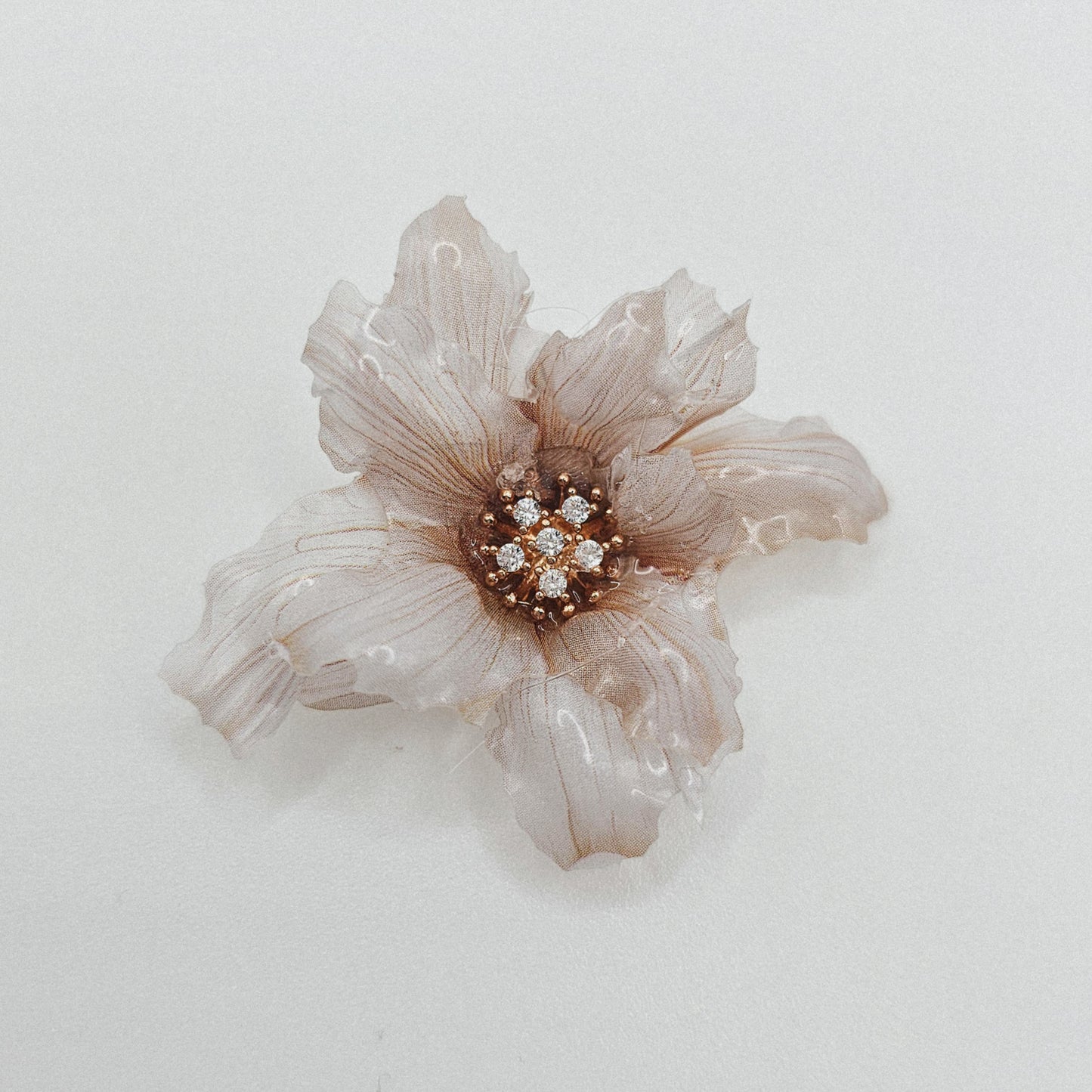 Winterglanz - 10 Stk.