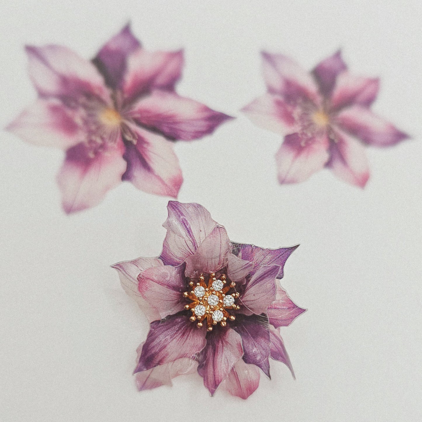 Violet Dream - 10 Stk.