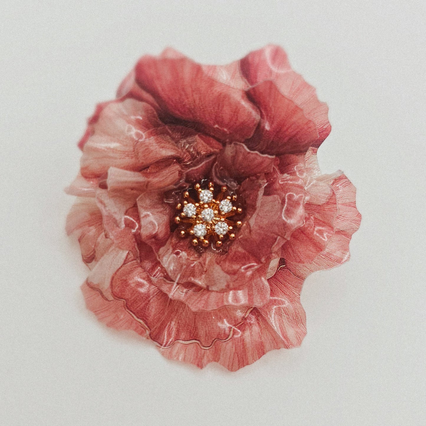 Pfingstrose Pastell - 10 Stk.