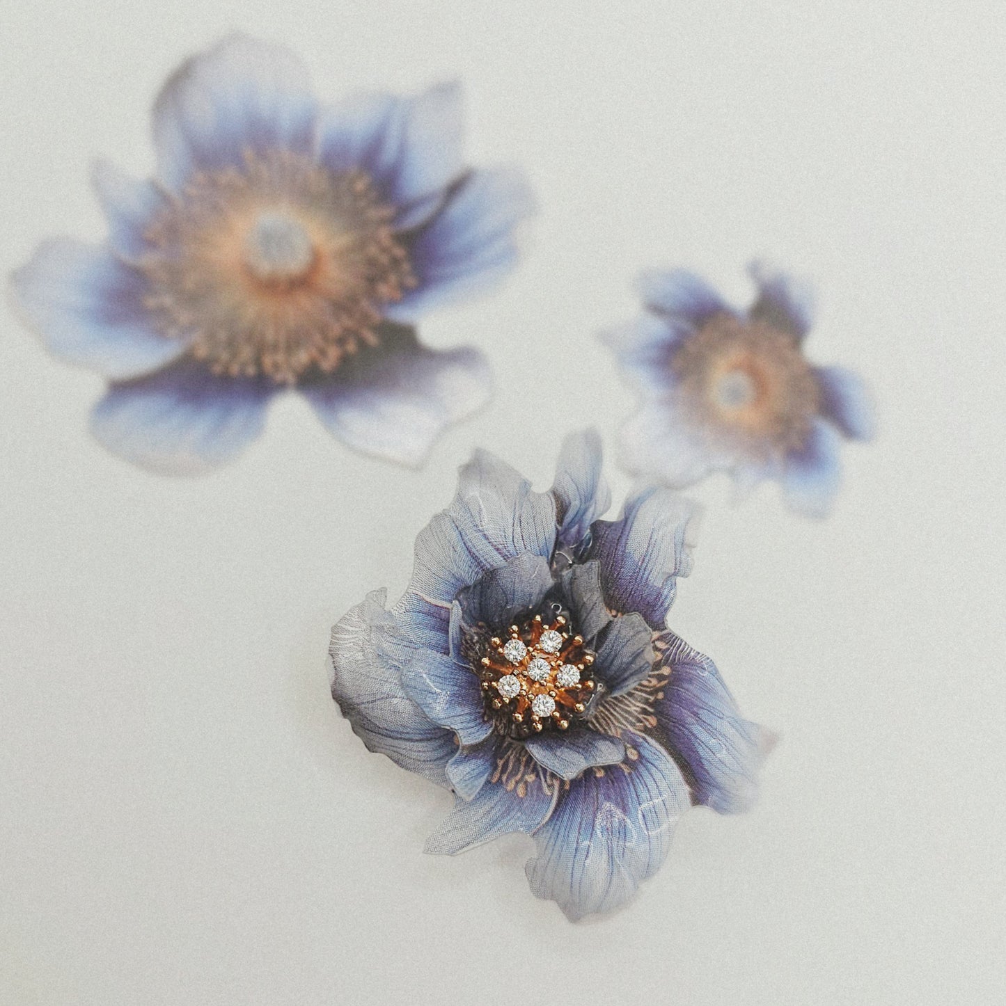 Mohnblume (blau) - 10 Stk.