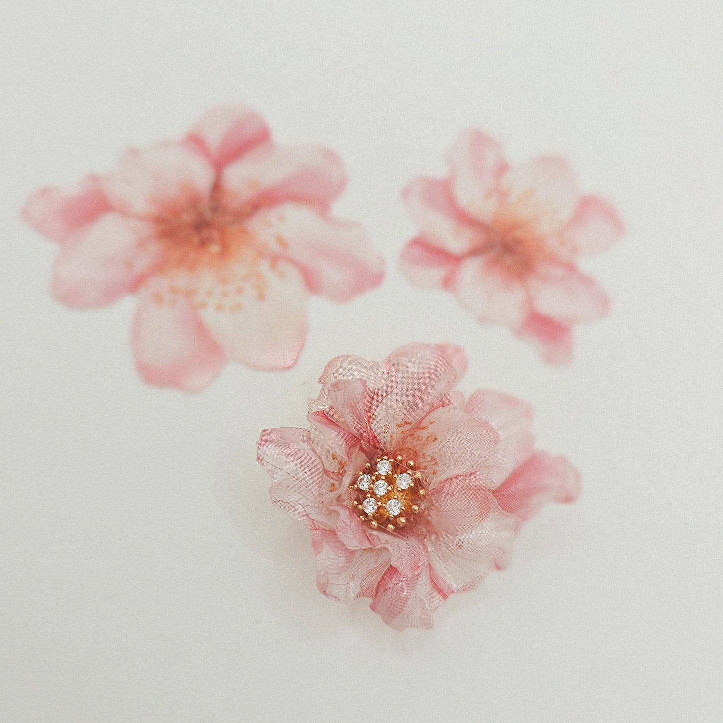 Kirschblüte - 10 Stk.