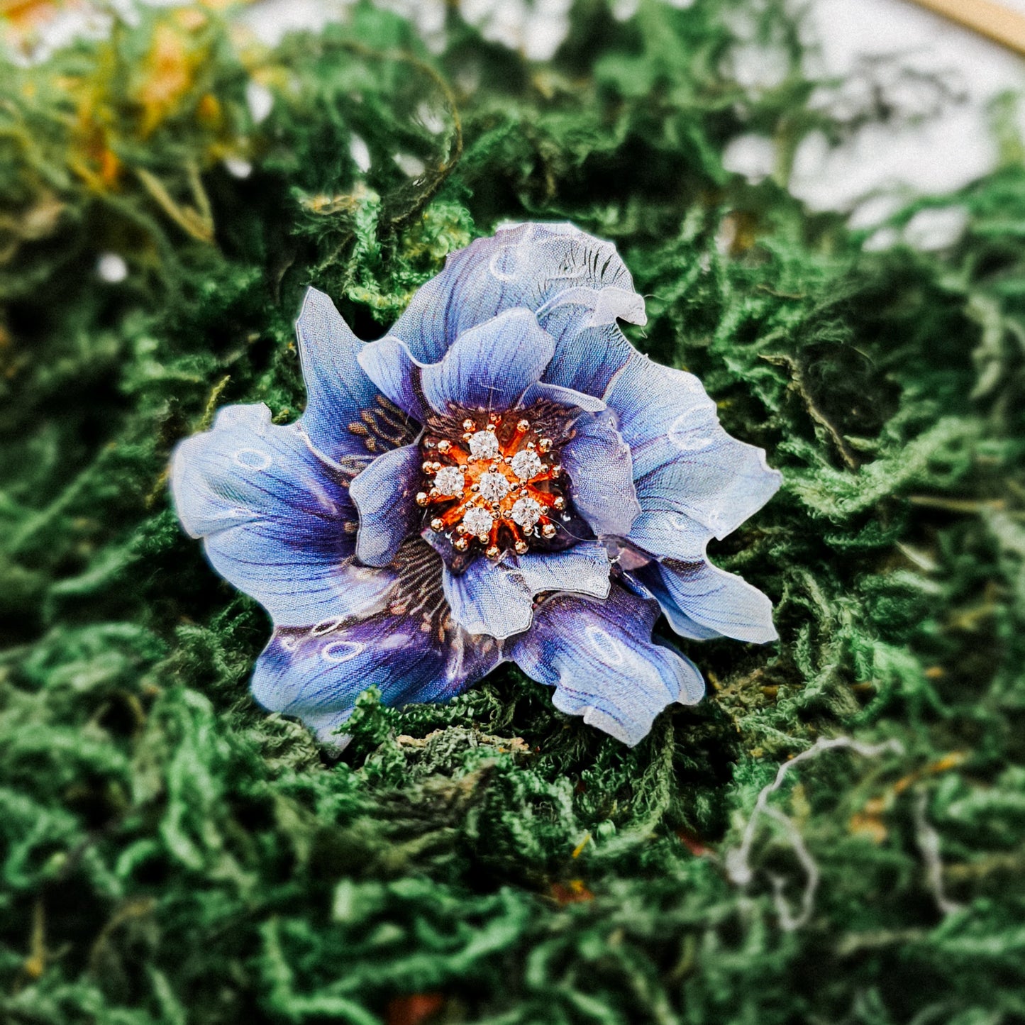 Mohnblume (blau) - 10 Stk.