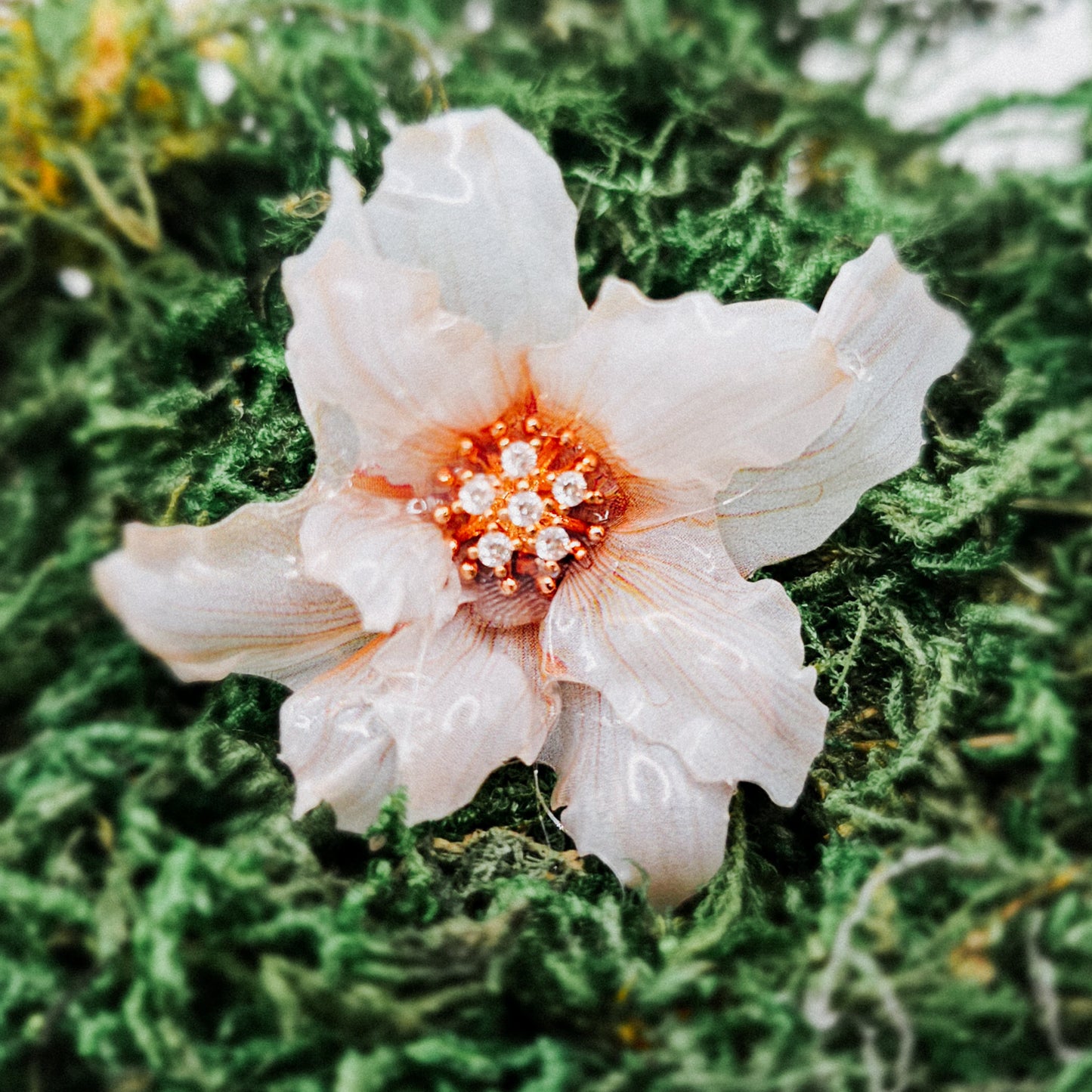 Winterglanz - 10 Stk.