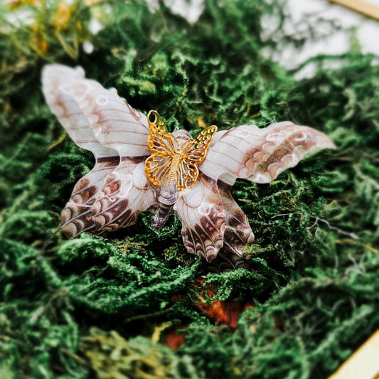 Motte beige braun - 10 Stk.