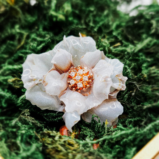 Weißer Glanz - 10 Stk.