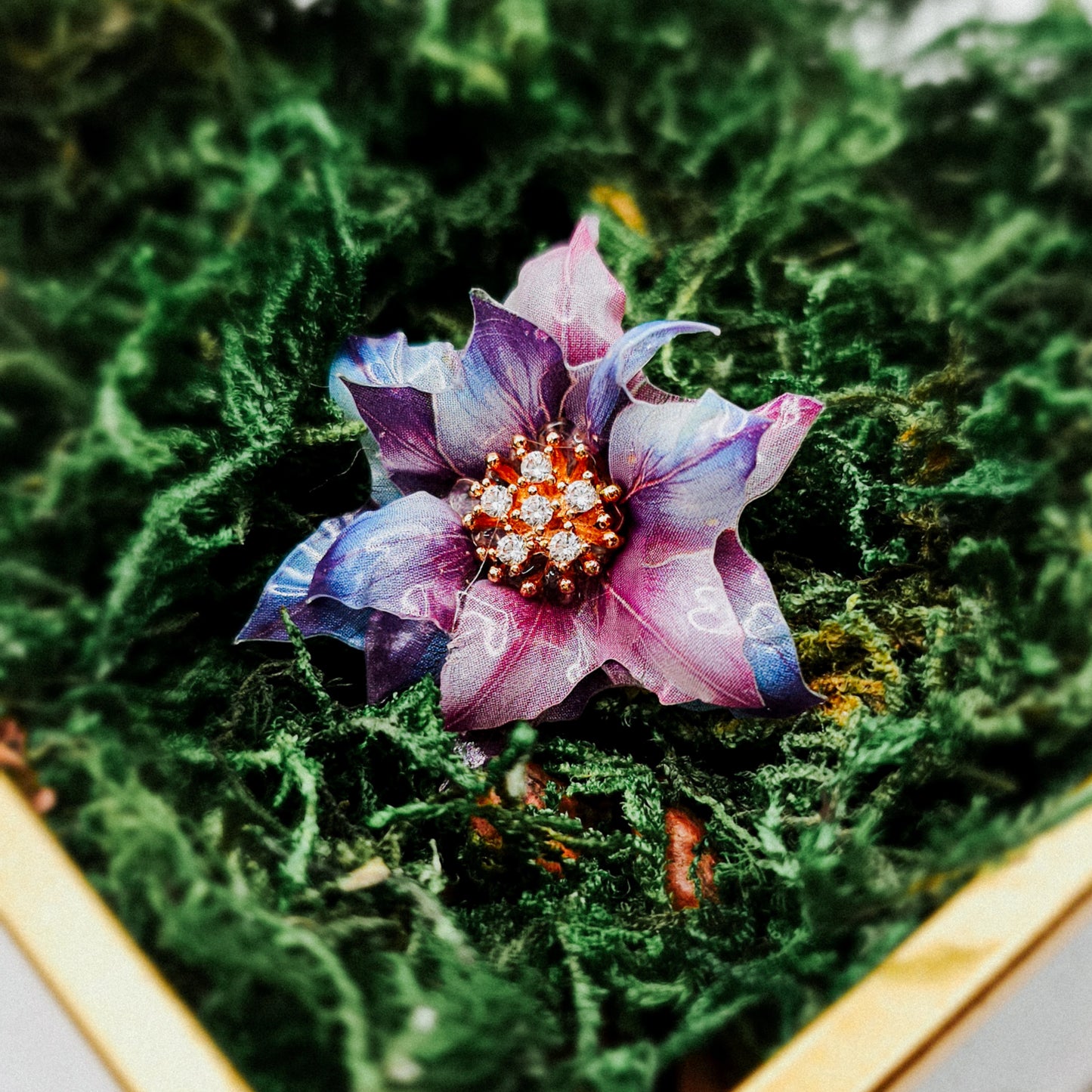 Sternenglanz - 10 Stk.