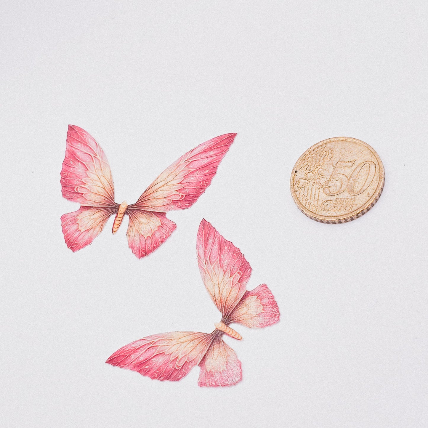 Schmetterling - Hibiskus - 10 Stk.