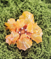 Yellow Dream - 10 Stk.