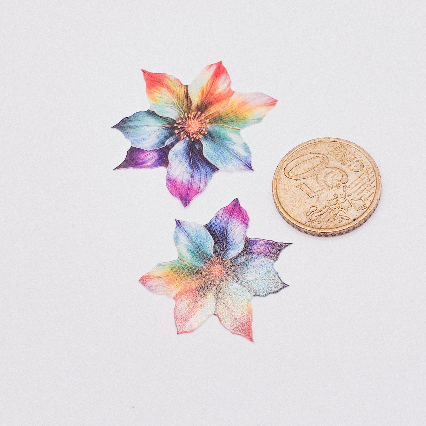 Rainbow Flower - 10 Stk.
