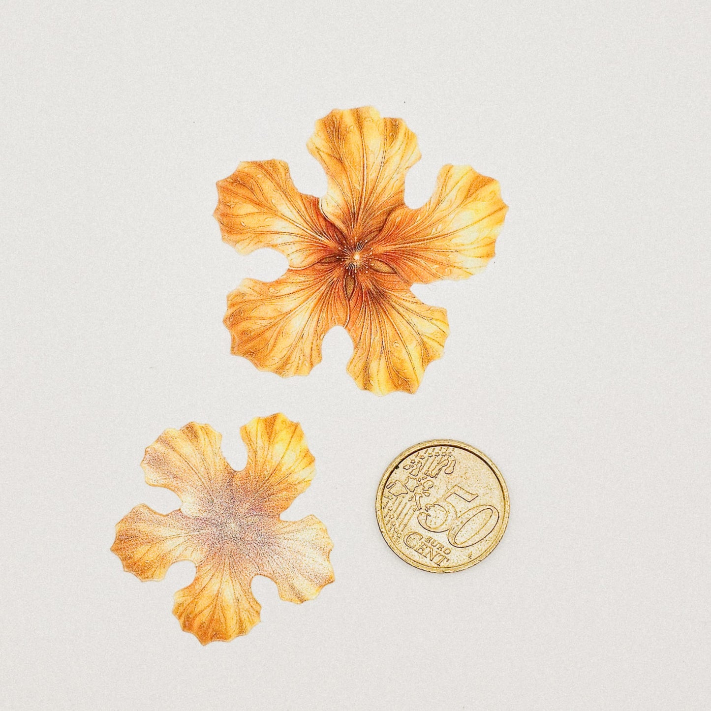 Yellow Dream - 10 Stk.